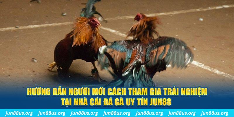 f1685 loi game dot kich ket noi may chu that bai