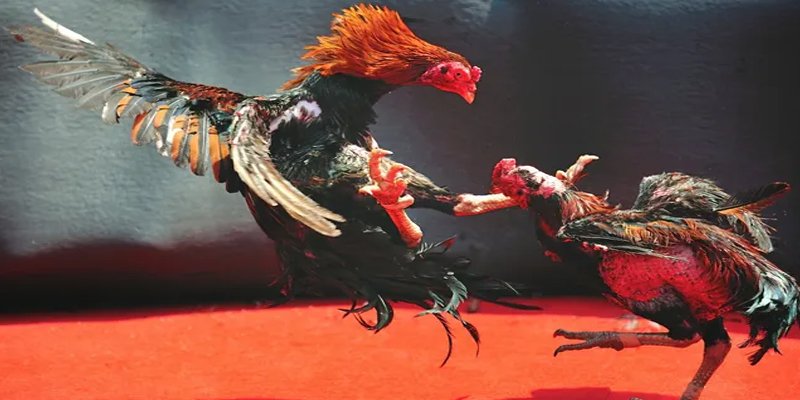 f1685 bắn cá h5 chơi ngay