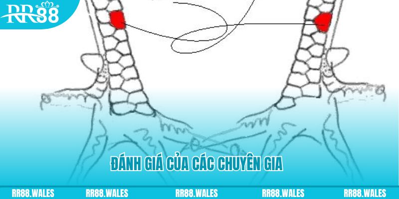 f1685 V8 Game Bài 3d