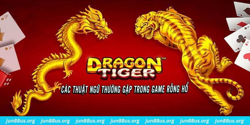 f1685 ÁT CHỦ BÀI ĐẤU ĐỊA CHỦ