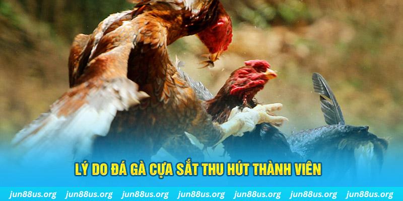 f1685 chiếm slot là gì