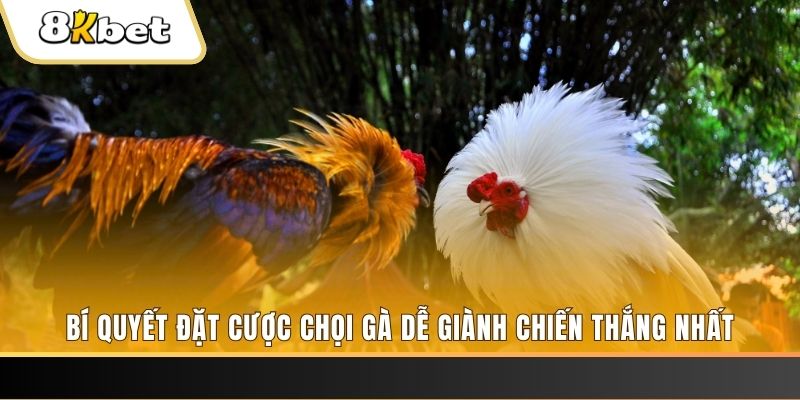 f1685 xổ số thứ hai hàng tuần