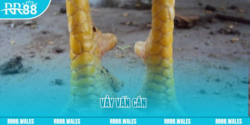 f1685 đăng nhập nổ hũ hôm nay